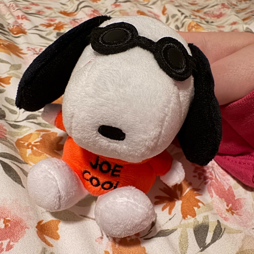 Joe Cool Snoopy